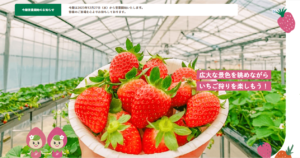 【福島県いわき市】ヘレナ ストロベリーランドのいちご狩りの季節が来ました!!12月27日をお楽しみに!!