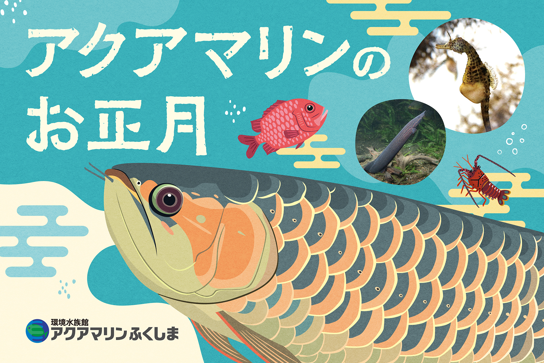 【福島県いわき市】アクアマリンのお正月: 新春イベントで楽しむ水族館の魅力！