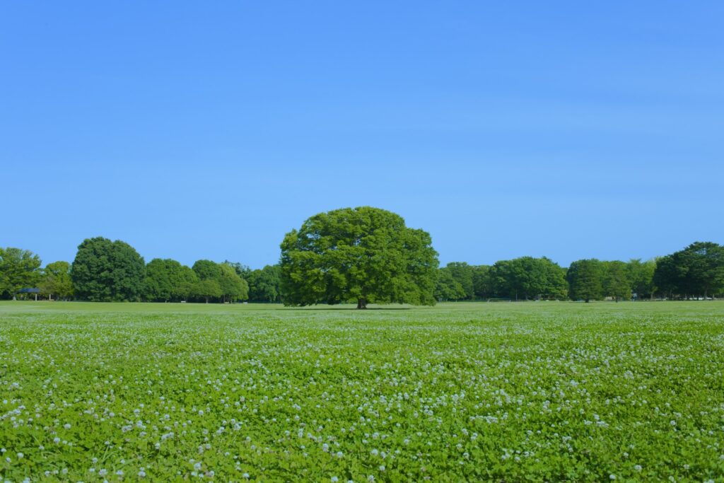 【福島県郡山市】ビッグパレットふくしまで「ふくしまSDGs未来博」が開催されます！矢祭町出身の「あばれる君」も登場