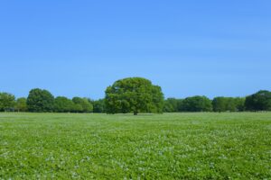 【福島県郡山市】ビッグパレットふくしまで「ふくしまSDGs未来博」が開催されます!矢祭町出身の「あばれる君」も登場