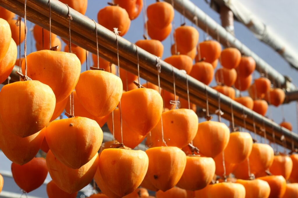 「ふくしまあんぽ柿ヌーン」開催！ティータイムで語り合う、あんぽ柿の魅力と歴史