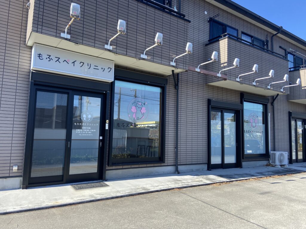 【福島県本宮市】本宮に「もふスペイクリニック」がオープン！飼い主のいない猫の不妊去勢手術に特化した動物病院