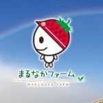 【福島県二本松市】まるなかファーム「いちご狩り」2024年1月6日にオープン!