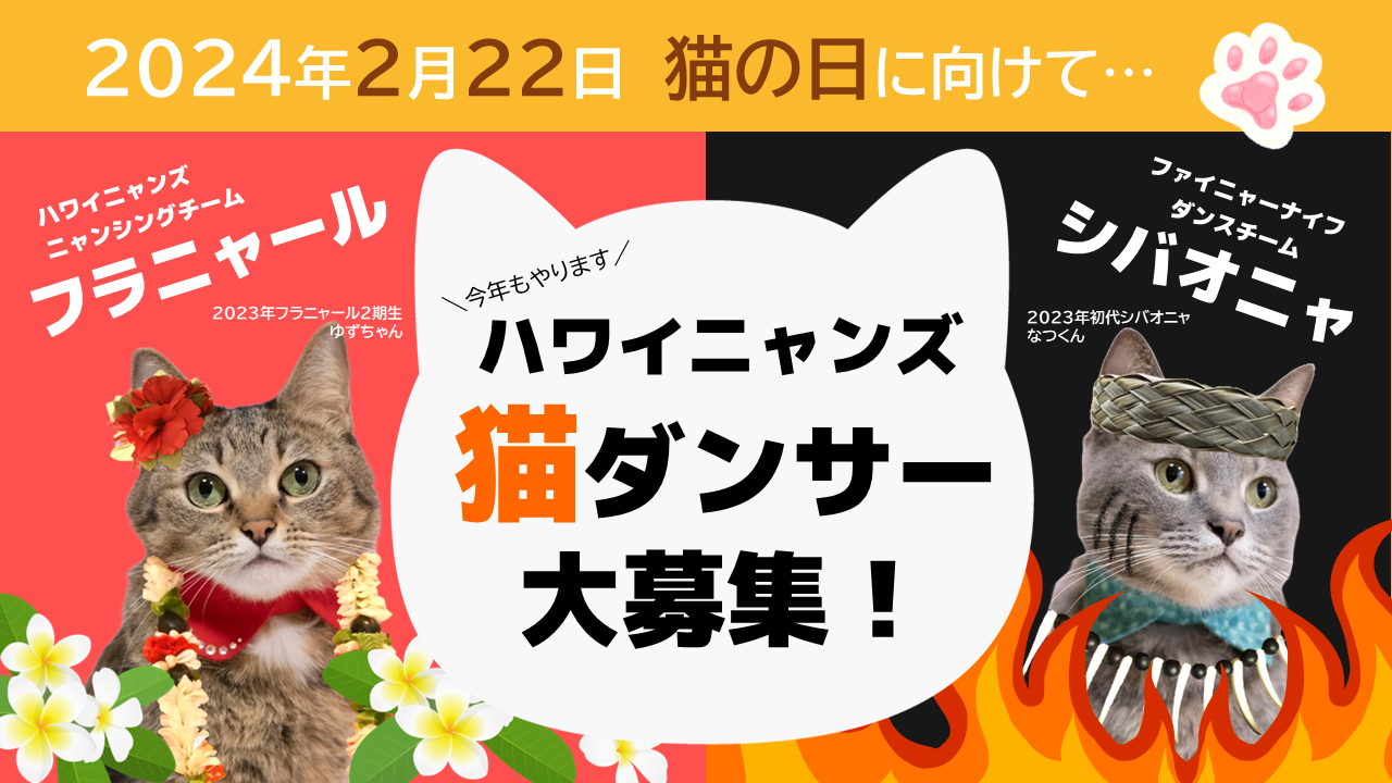 【福島県いわき市】スパリゾートハワイニャンズで愛猫がダンサーに！？2024年2月22日「猫の日」記念『猫ダンサー』大募集！