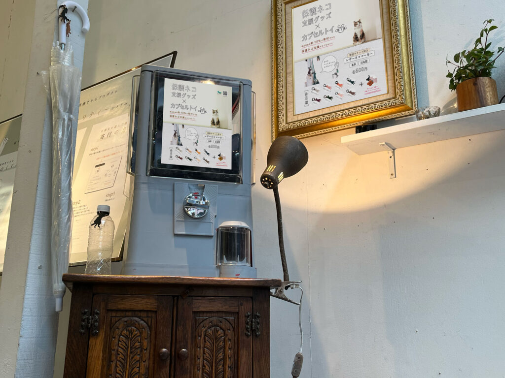 ものづくりのプロジェクト、aonecoが贈る『保護ネコ支援カプセルトイ』支援先に福島県いわき市「LYSTA」NPO法人動物愛護団体も