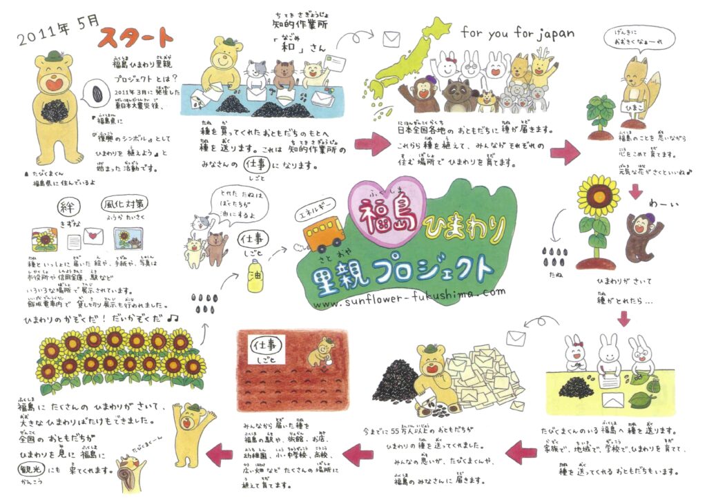 全国の想いを集めた“復興花”ひまわりが富岡町に咲き誇る！ 渡邊農園様に種を寄贈