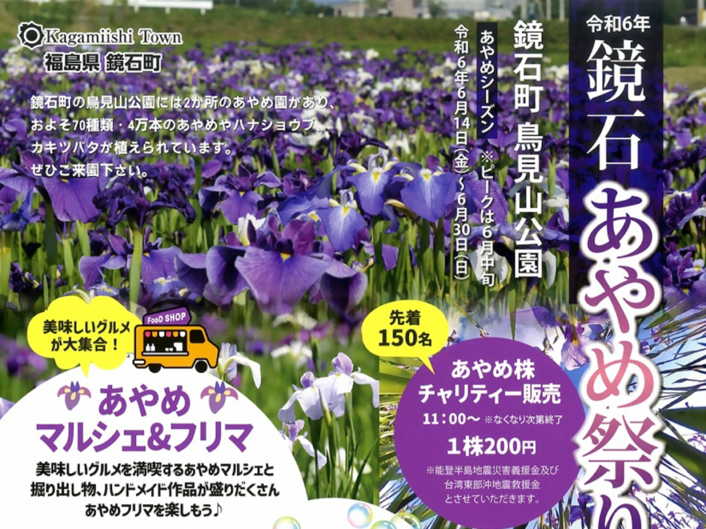 【夏を彩る華麗な花々】福島県鏡石町で開催される「鏡石あやめ祭り」